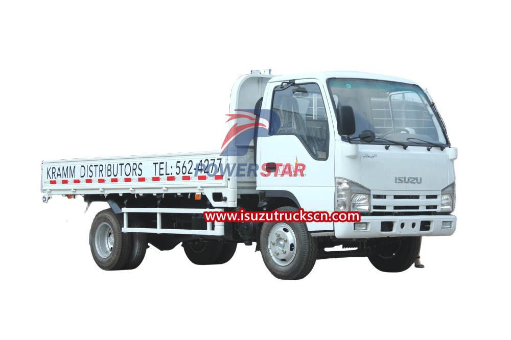 New Isuzu ELF 100P Lorry Dropside Cargo Truck