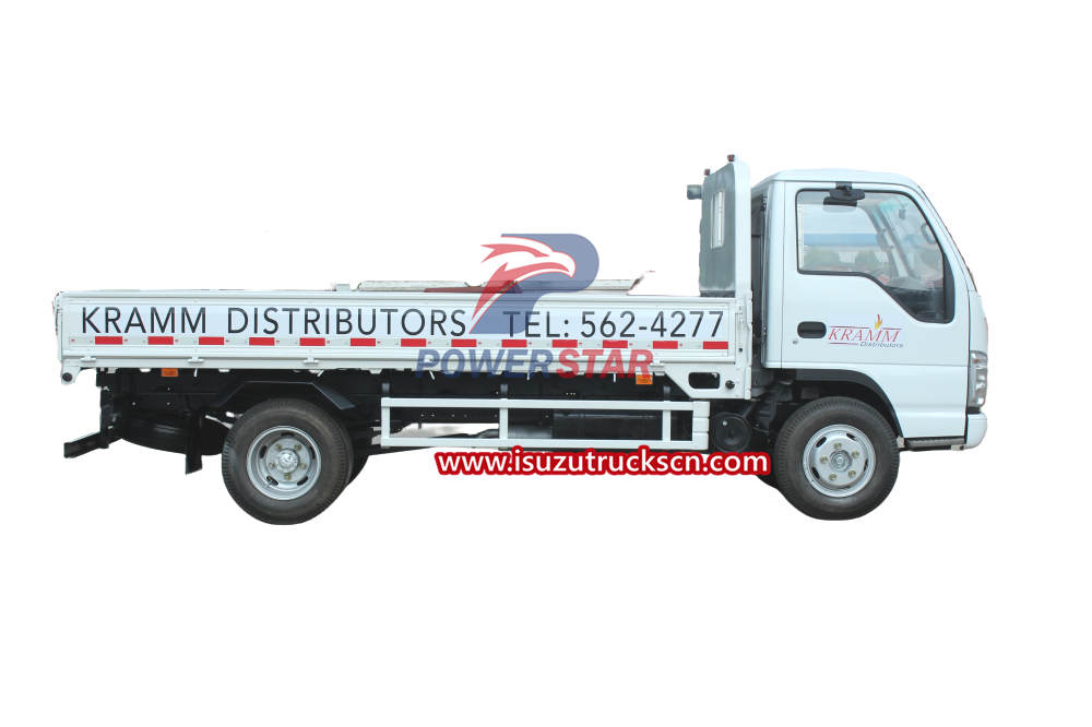 New Isuzu ELF 100P Lorry Dropside Cargo Truck