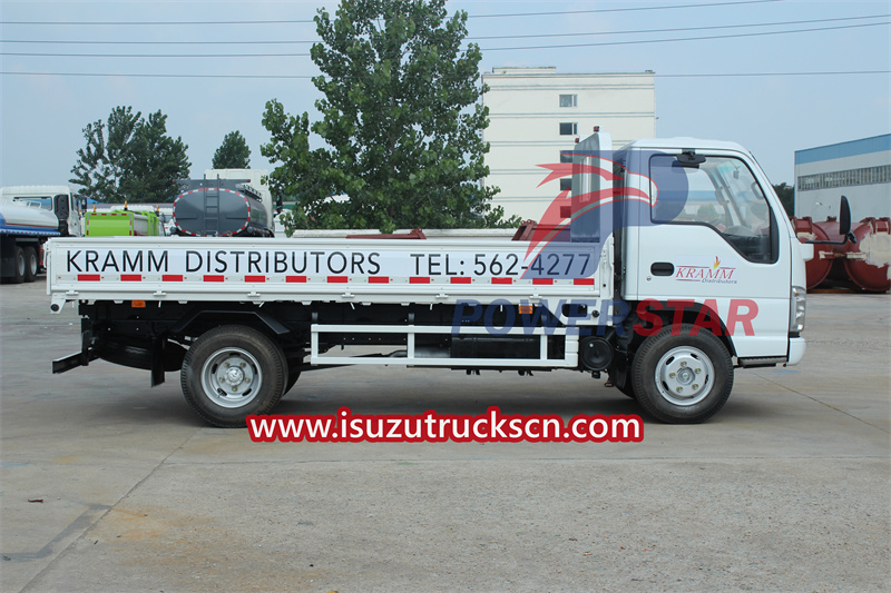 Isuzu mini cargo truck