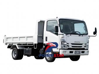 Philippine Isuzu ELF 3 ton light duty dumper